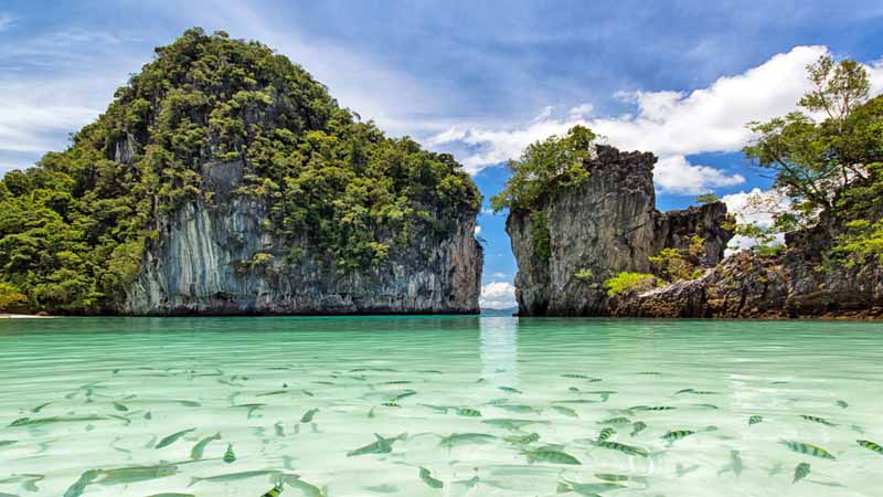 Thailand Tour Package Ex-Delhi