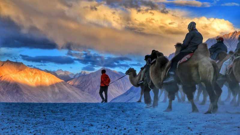 Nubra valley with Pangong lake Tour