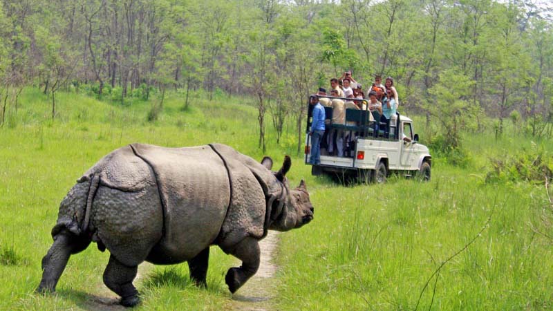 Kathmandu & Chitwan