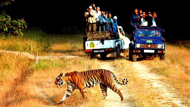 Uttrakhand