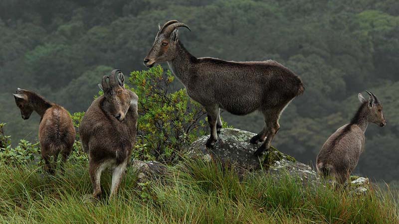 National Park